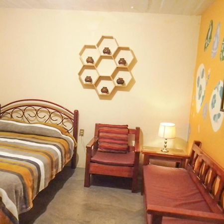 Los Nardos Hostel -Pet Friendly- Oaxaca Luaran gambar