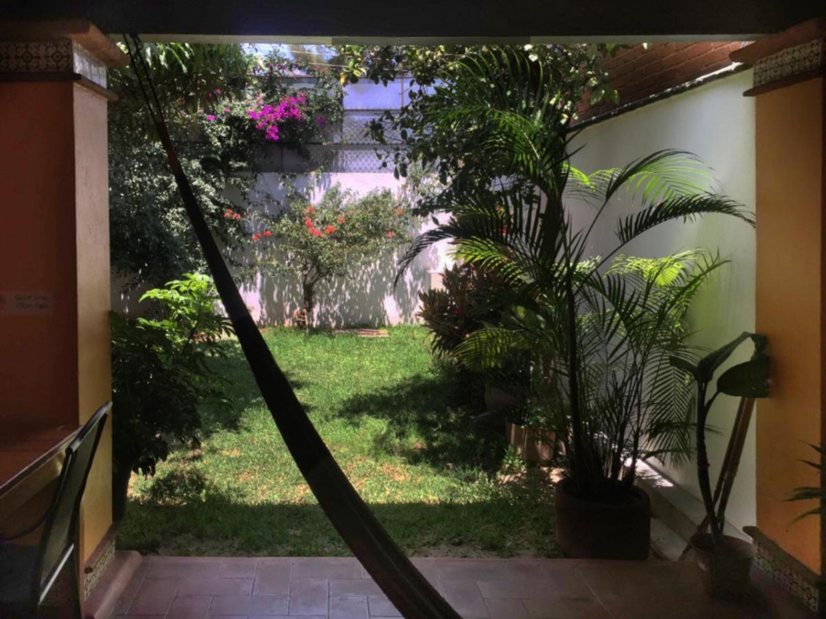 Los Nardos Hostel -Pet Friendly- Oaxaca Luaran gambar