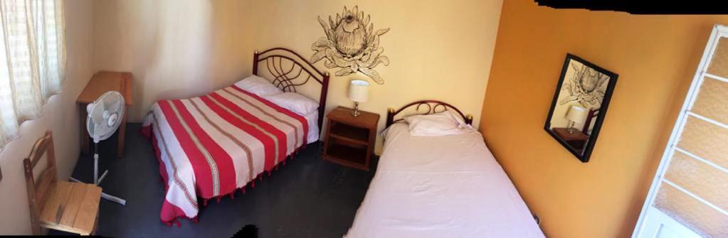 Los Nardos Hostel -Pet Friendly- Oaxaca Luaran gambar