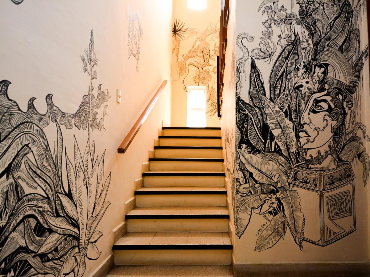 Los Nardos Hostel -Pet Friendly- Oaxaca Luaran gambar