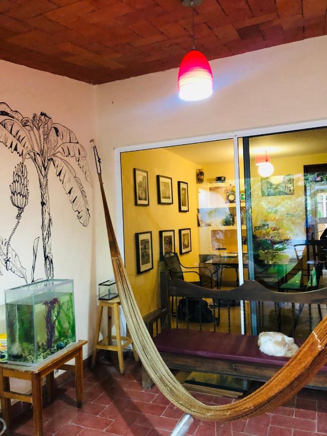 Los Nardos Hostel -Pet Friendly- Oaxaca Luaran gambar