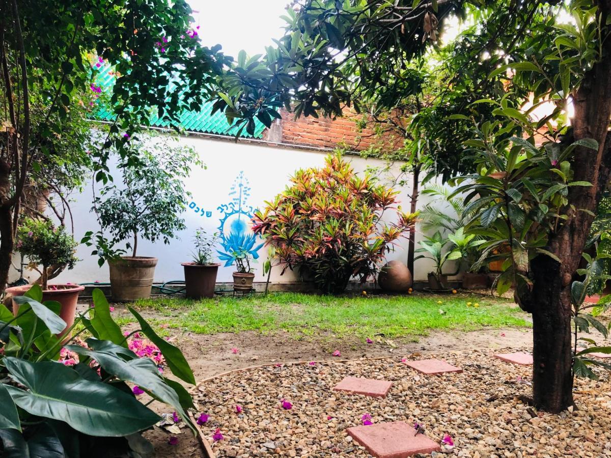 Los Nardos Hostel -Pet Friendly- Oaxaca Luaran gambar