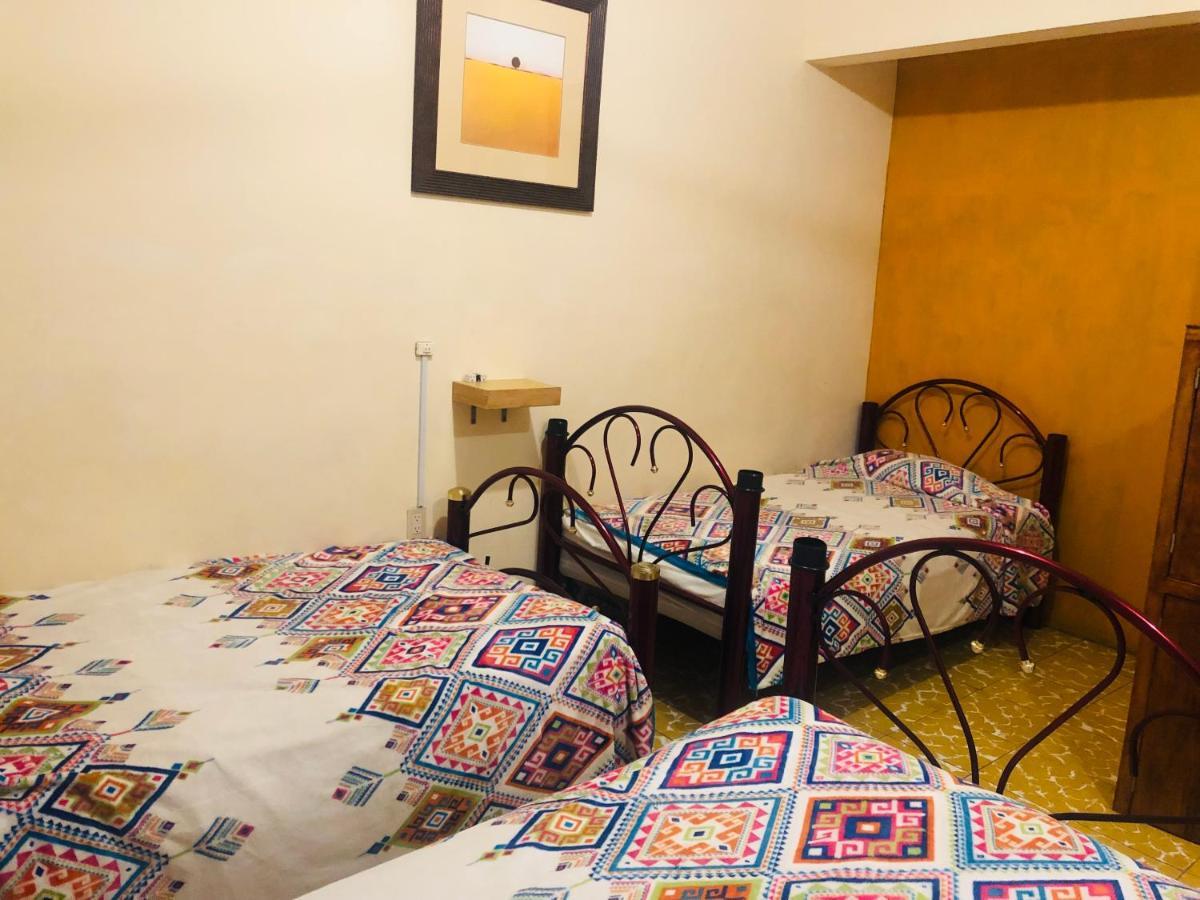 Los Nardos Hostel -Pet Friendly- Oaxaca Luaran gambar