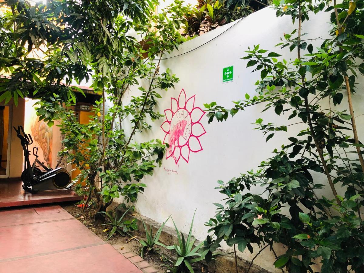 Los Nardos Hostel -Pet Friendly- Oaxaca Luaran gambar