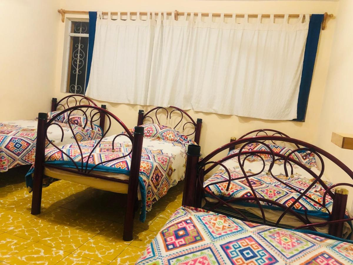 Los Nardos Hostel -Pet Friendly- Oaxaca Luaran gambar