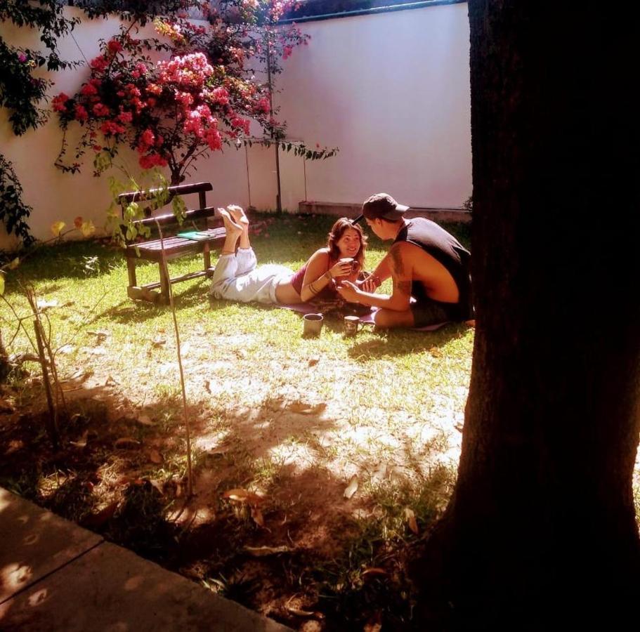 Los Nardos Hostel -Pet Friendly- Oaxaca Luaran gambar