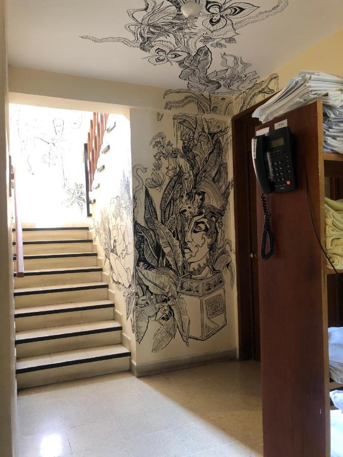 Los Nardos Hostel -Pet Friendly- Oaxaca Luaran gambar