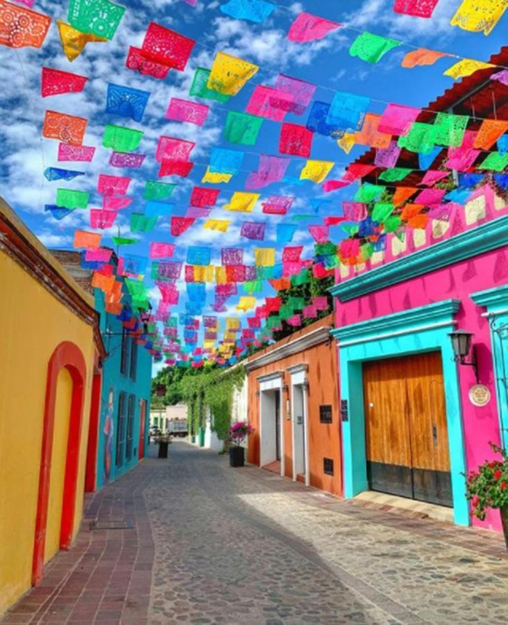 Los Nardos Hostel -Pet Friendly- Oaxaca Luaran gambar