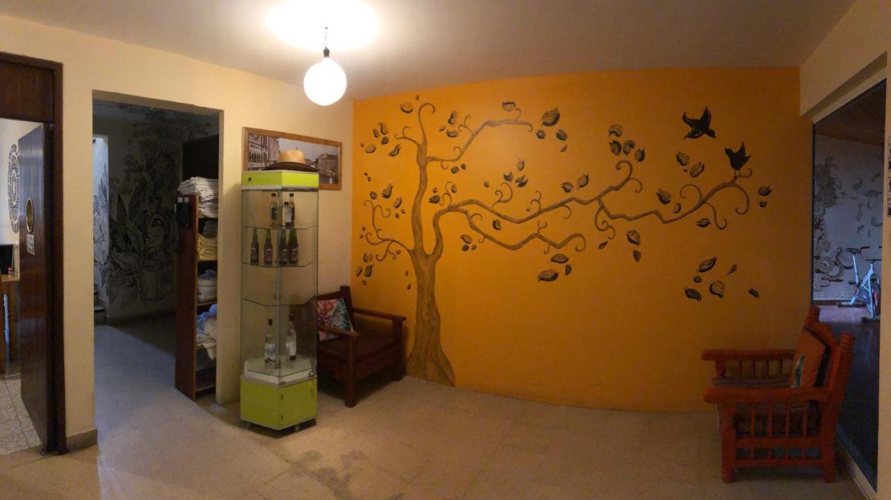 Los Nardos Hostel -Pet Friendly- Oaxaca Luaran gambar