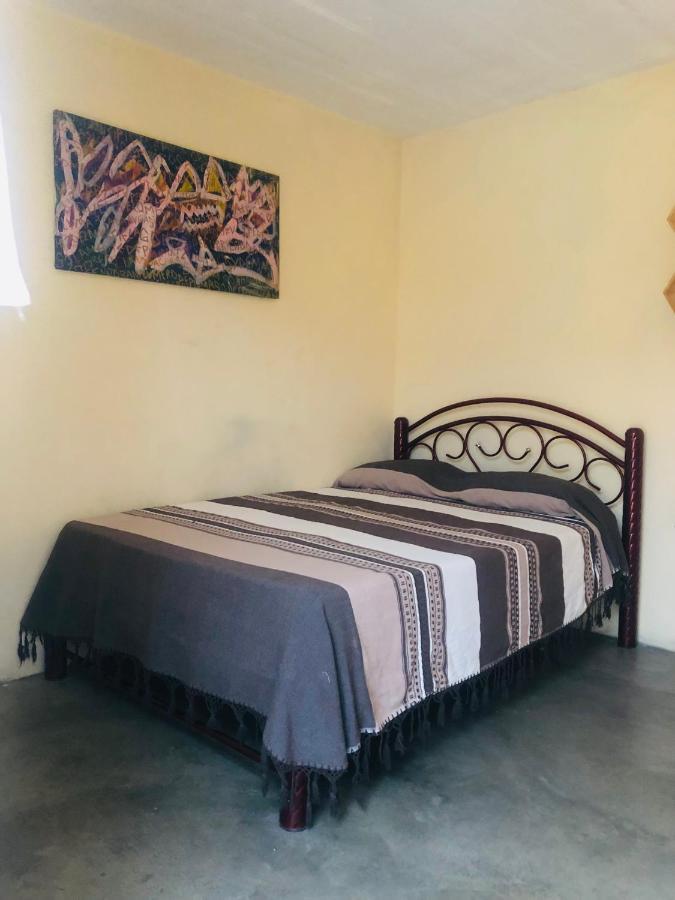 Los Nardos Hostel -Pet Friendly- Oaxaca Luaran gambar