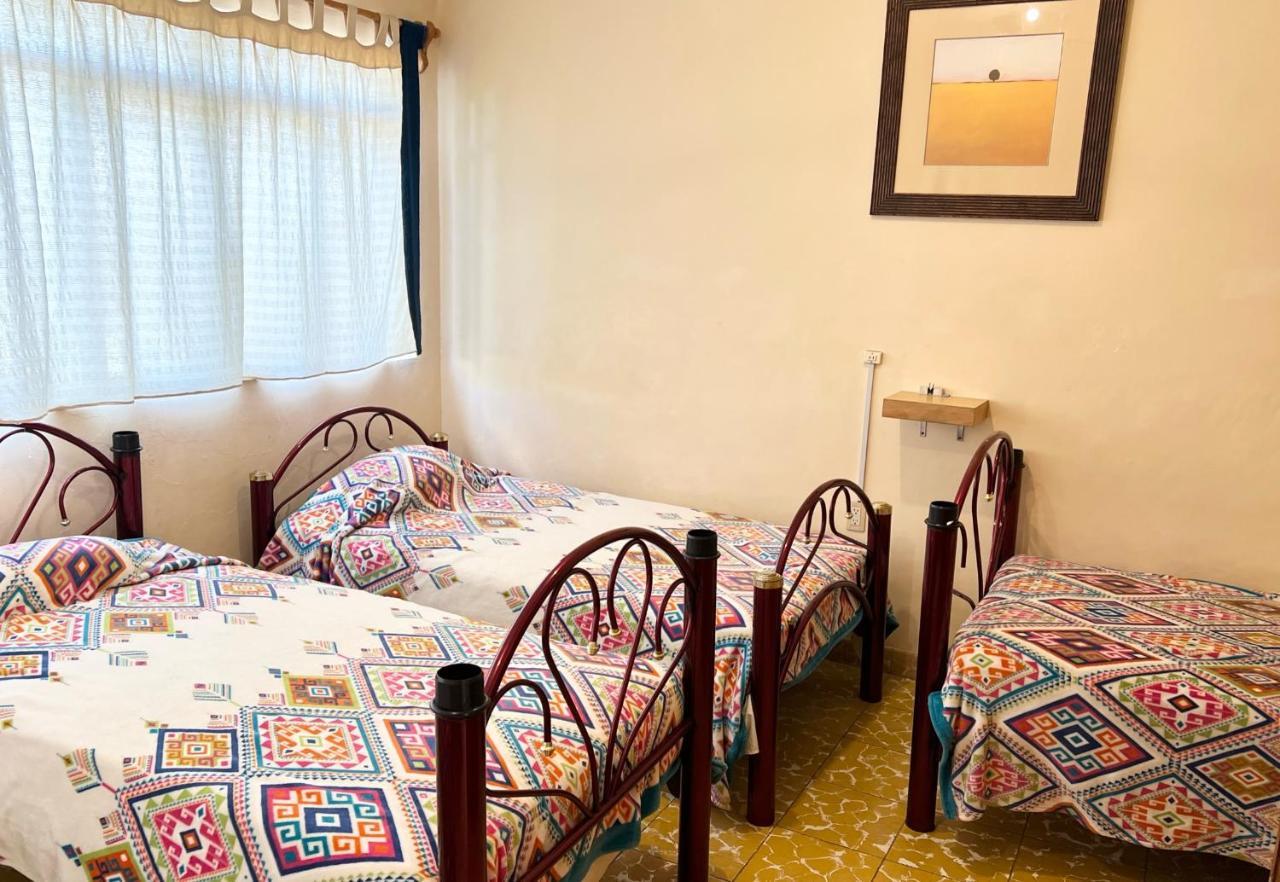 Los Nardos Hostel -Pet Friendly- Oaxaca Luaran gambar