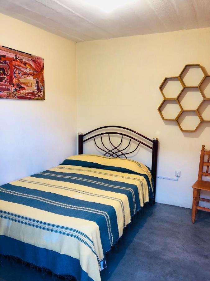 Los Nardos Hostel -Pet Friendly- Oaxaca Luaran gambar