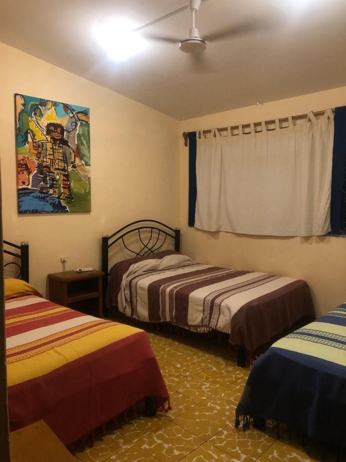 Los Nardos Hostel -Pet Friendly- Oaxaca Luaran gambar