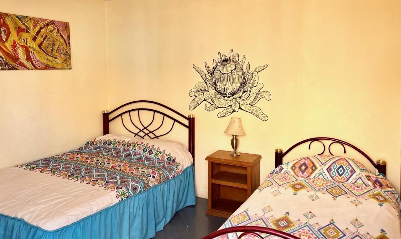 Los Nardos Hostel -Pet Friendly- Oaxaca Luaran gambar