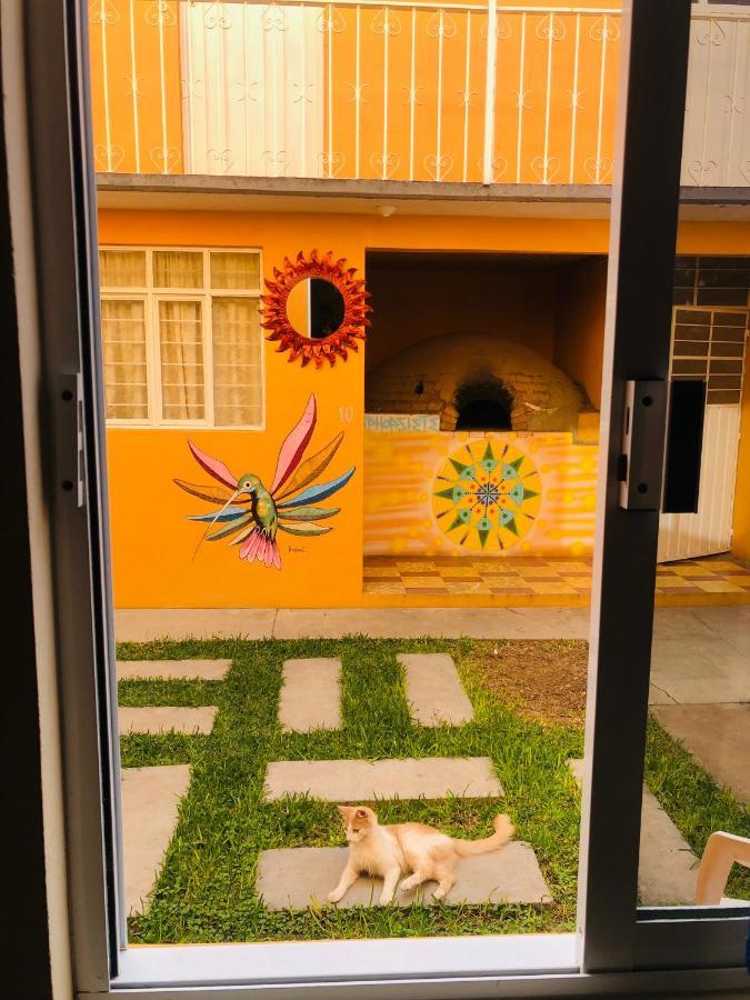 Los Nardos Hostel -Pet Friendly- Oaxaca Luaran gambar