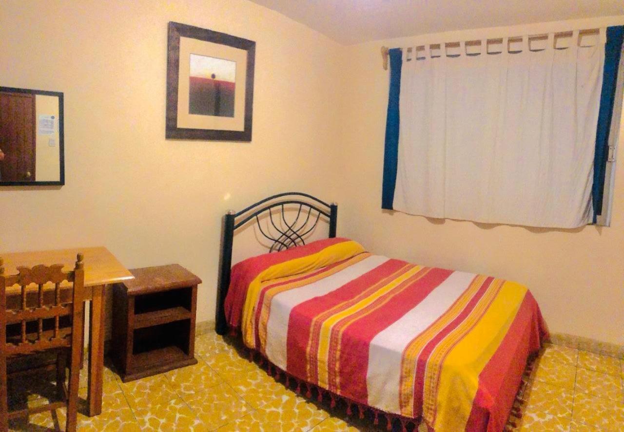 Los Nardos Hostel -Pet Friendly- Oaxaca Luaran gambar