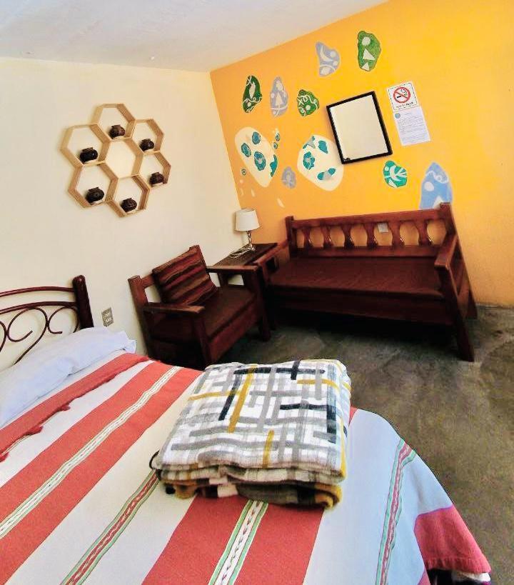 Los Nardos Hostel -Pet Friendly- Oaxaca Luaran gambar